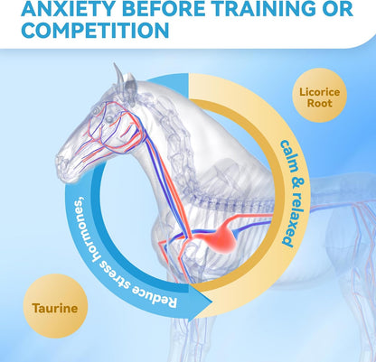 Calmative Taurine Supplement for Horses Enhance Focus and Concentration for Horse Health Focusing & Calming Taurine Powder Supplement 28-Day Supply