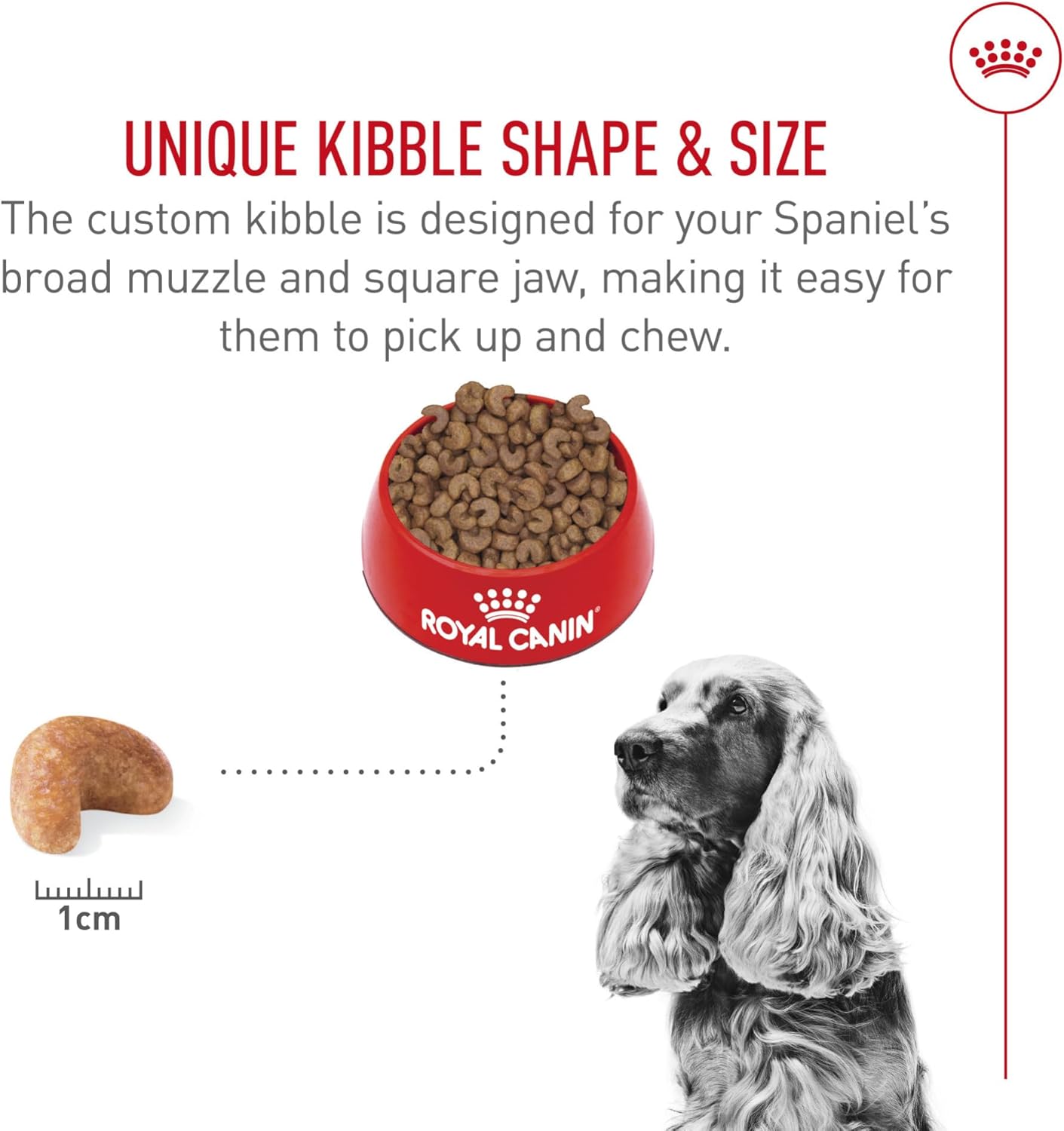 Royal Canin Breed Health Nutrition Cocker Spaniel Adult Dry Dog Food, 6 lb Bag