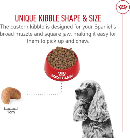 Royal Canin Breed Health Nutrition Cocker Spaniel Adult Dry Dog Food, 6 lb Bag