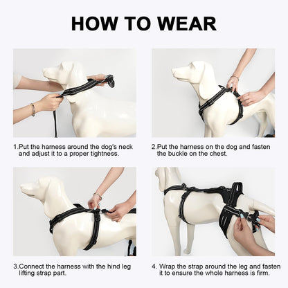 COODEO Professional Dog Sling for Hind Leg Support - Aid for Post-ACL/TPLO Surgery & Senior Dogs, Secure,Breathable & Machine-Washable with Reflective Edging for Safe Walks (Black, M)