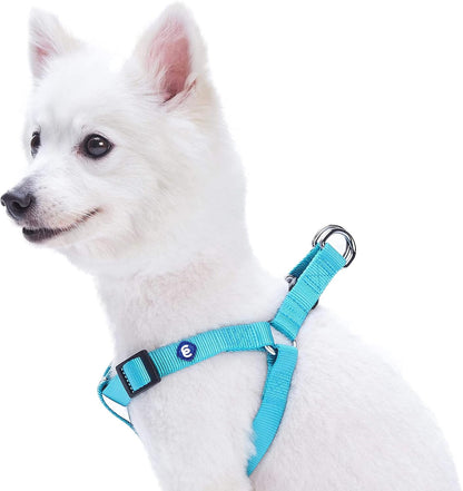 Blueberry Pet Essentials Step-in Dog Harness, Small Size | Adjustable Turquoise Vest | Classic Solid Nylon for Boy & Girl Dogs, Chest Girth 16.5" - 21.5"