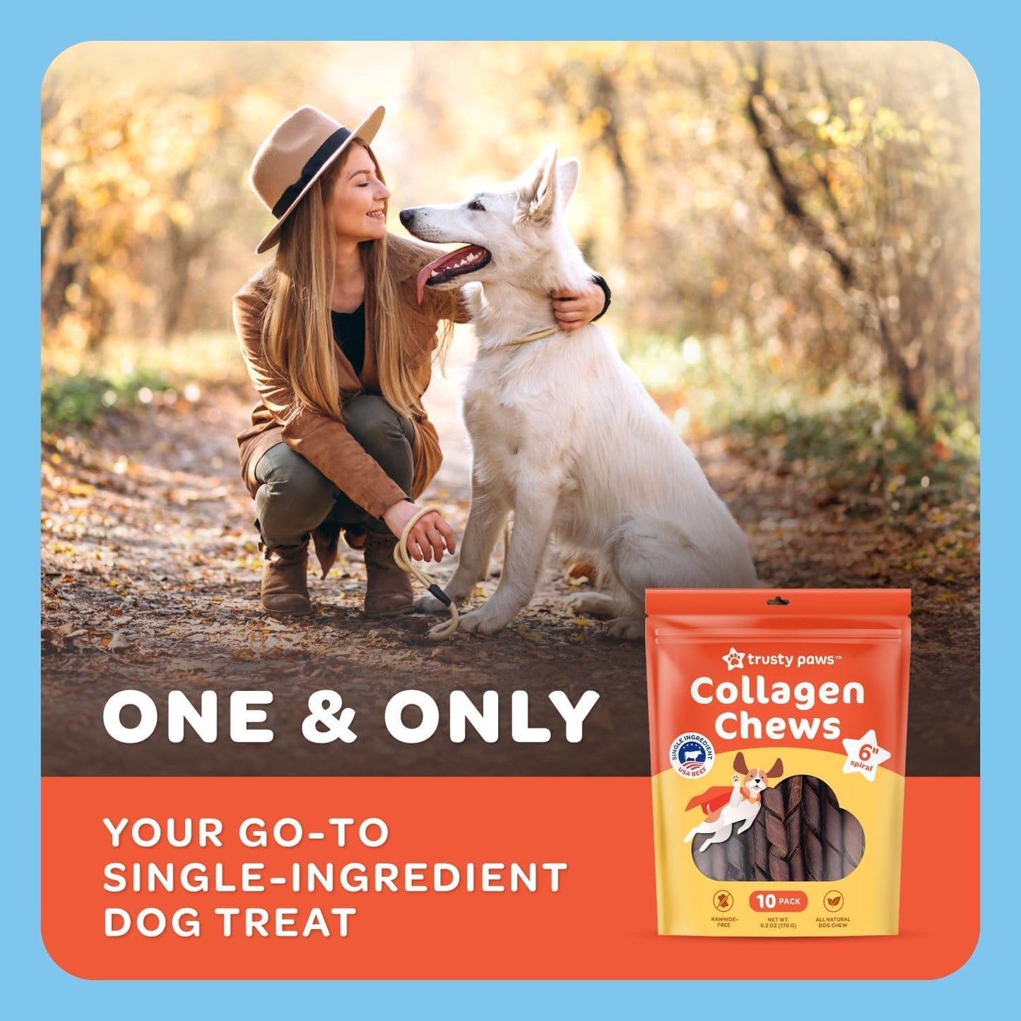 Beef Collagen Sticks for Dogs - One Ingredient Collagen Chews - Collagen Treats - Made in USA Collagen Dog Chews (TP-Collagen-10ct)