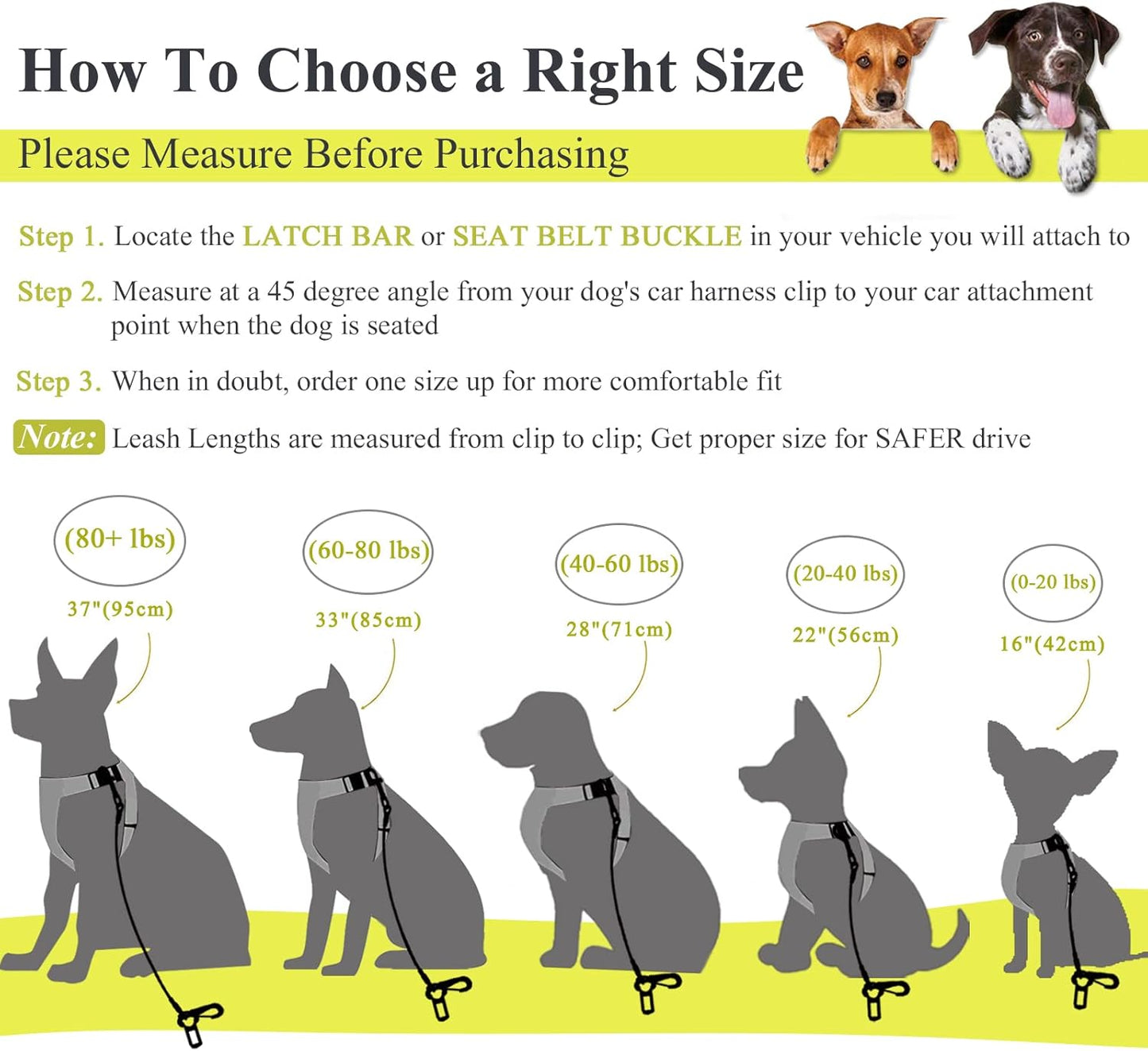 VIVAGLORY Dog Seat Belt + Dog Seat Cover, Chew Proof Waterproof Multi-Functional, Backseat Cover for Car