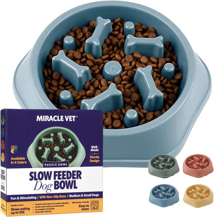 Miracle Vet Slow Feeder Dog Bowls for Fast Eaters - for Small, Medium Sized Dogs - Dog Puzzle Maze Helps Slow Down Eating - Adult, Puppy Food Bowl for Bloat Stop - Non-Slip Feeder Bowl (Blue)