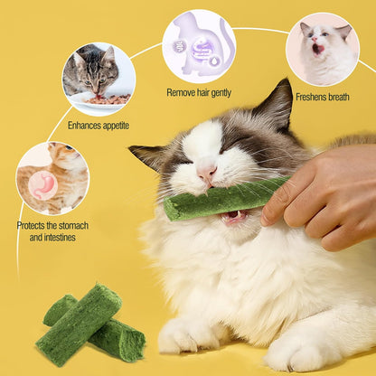 30g Cat Grass Sticks, Delicious Cat Grass Teething Stick Edible Cats Chew Toy Cat Treats Snack for Teeth Cleaning and Hairball Removal