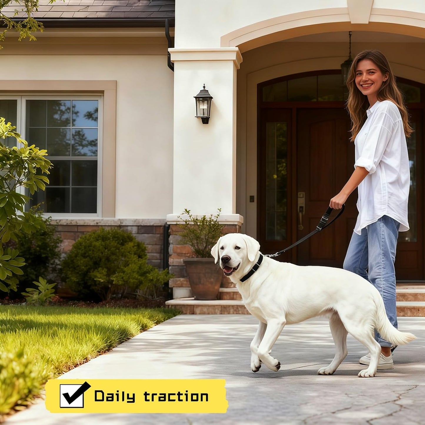 2-in-1 Car Seat Belt for Dogs, Headrest Dog Safety Harness & Leash - Adjustable Nylon Vehicle Pet Restraint, Tangle-Free Travel Solution for Small to Medium Dogs, 2-Pack