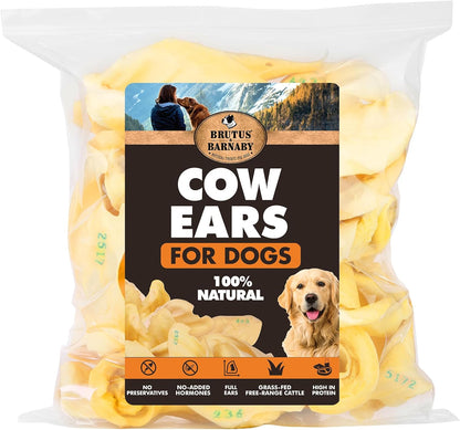 BRUTUS & BARNABY Branded Cow Ears for Dogs – Whole Ears, Thick Cut, Grass-Fed Angus Beef, All-Natural No-Rawhide Dog Treat Alternative (30 Count)