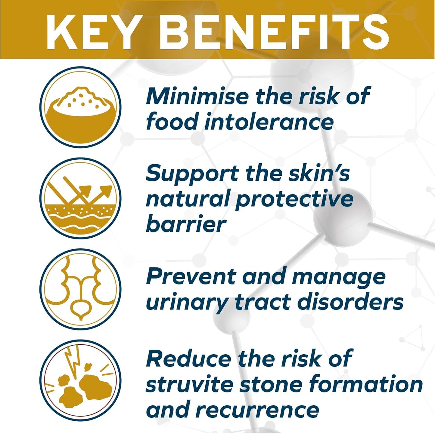 Forza10 - Cat Food, Limited Ingredient Cat Food for Urinary Health and UTI Support, Non-GMO, Fish Flavor, Made in Italy (0.88 lb)