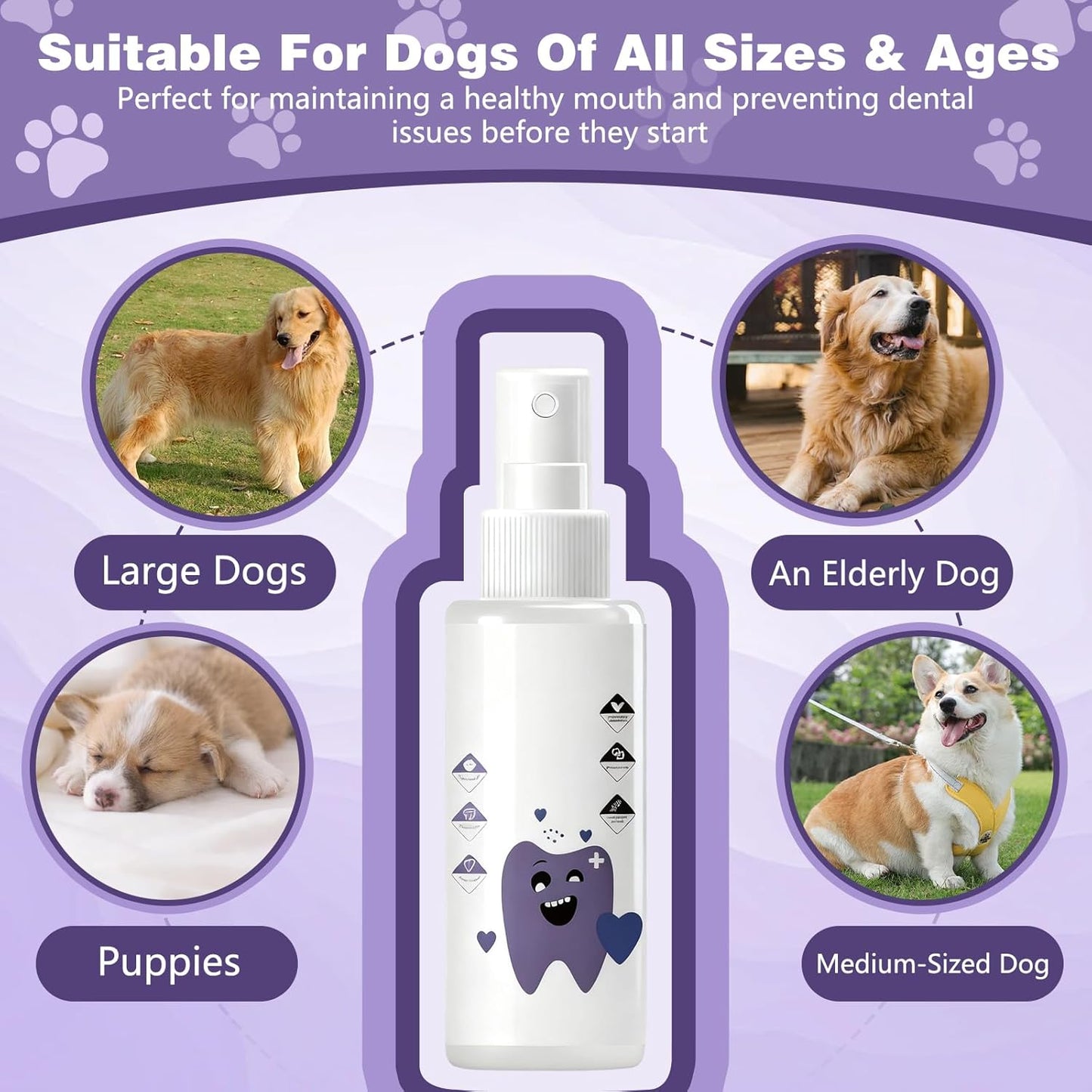Pawbright Dental Plus, Natural, Odorless & Flavorless DentalWater Additive, Promote Healthy Gums & Freshen Breath, Dental Plus for Dog DentalWater Additive, Easy Daily Use for All Pet