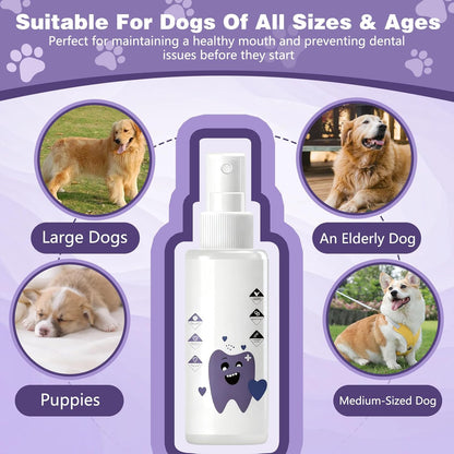 Pawbright Dental Plus, Natural, Odorless & Flavorless DentalWater Additive, Promote Healthy Gums & Freshen Breath, Dental Plus for Dog DentalWater Additive, Easy Daily Use for All Pet