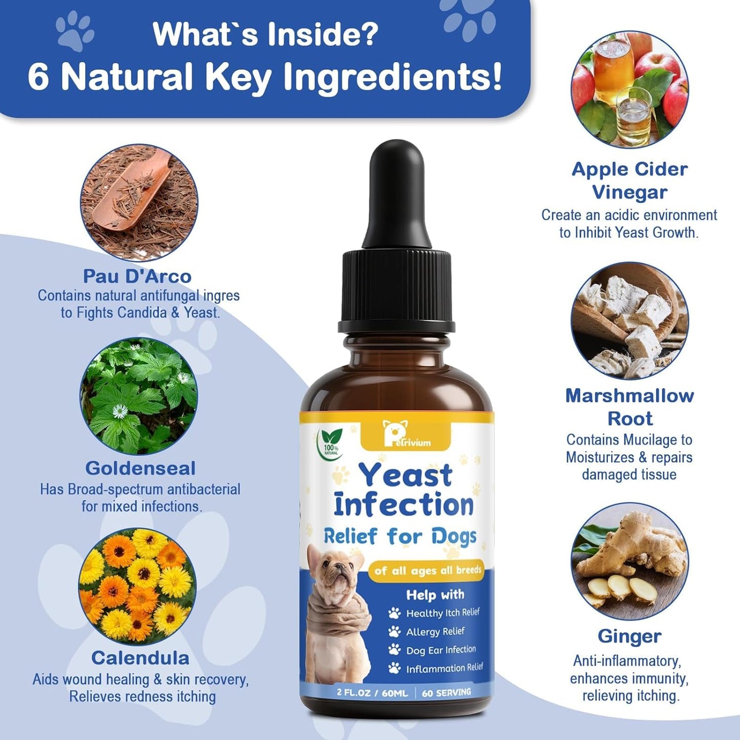 Yeast Infection Treatment for Dog, Natural Dog Yeast Infection Relief for Itchy Skin & Ear - Allergy & Paw Itching, Soothes Irritation & Reduces Inflammation Herbal Dog Supplement Drops