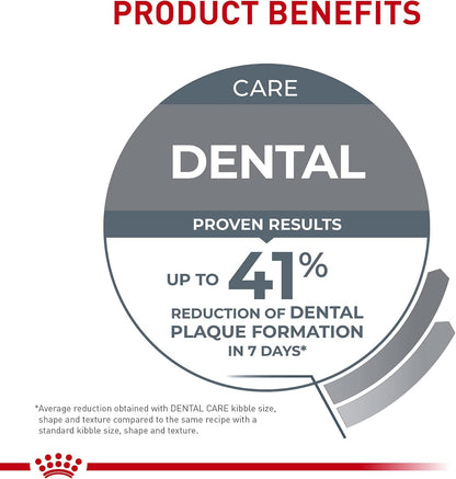 Royal Canin Feline Care Nutrition Dental Care Adult Dry Cat Food, 6 lb Bag