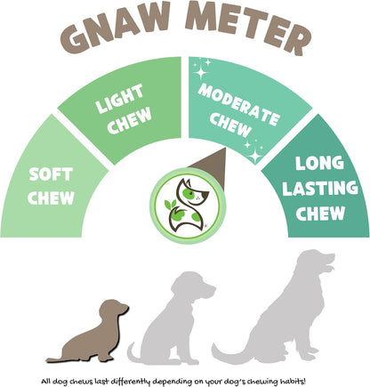 Nature Gnaws Extra Thin Bully Sticks for Small Dogs 5-6" (10 Count) - Long Lasting for Light Chewers and Puppies - Natural Beef Dog Chew Bones