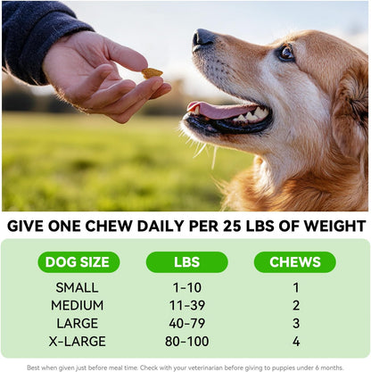 Probiotics for Dogs – Digestive & Immune Support Soft Chews with Prebiotics, Fiber & Enzymes – Relieves Diarrhea, Gas & Itchy Skin – Chicken Flavor Dog Supplement, 120 Chews