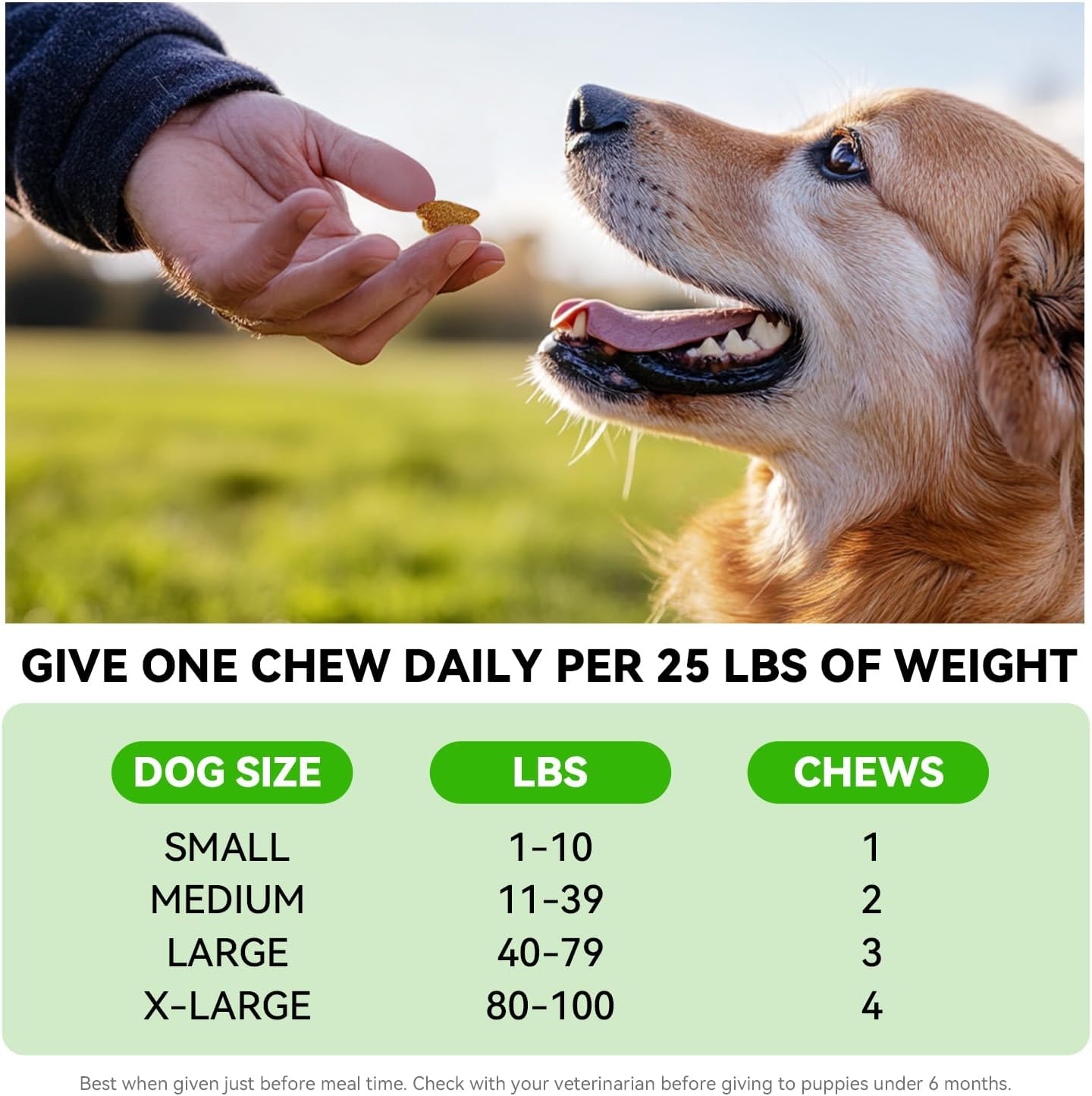 Probiotics for Dogs – Digestive & Immune Support Soft Chews with Prebiotics, Fiber & Enzymes – Relieves Diarrhea, Gas & Itchy Skin – Chicken Flavor Dog Supplement, 120 Chews