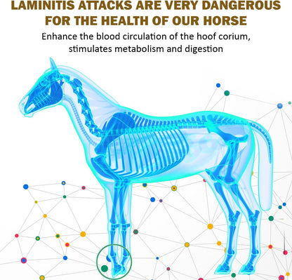 V-POINT - Laminitis Ease - hoof Supplements for Horses - Horse hoof Care Product Based on Natural Herbal Powder - Ideal for Hooves Health and Conditioning (1.0 lb)