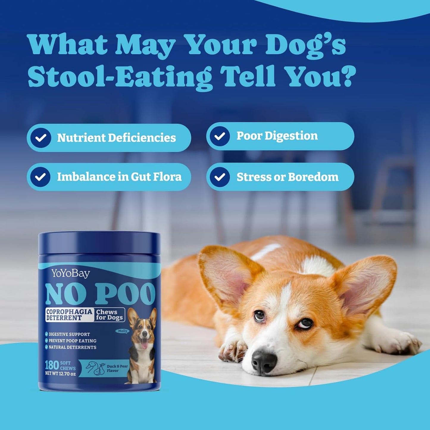 Product Image YoYoBay No Poo Chews for Dogs, Coprophagia Deterrent, Stool Eating Deterrent - with Probiotics, Fiber Blend, Natural Deterrent +Product Image YoYoBay Dog Eye Wipes for Tear Stain Remover