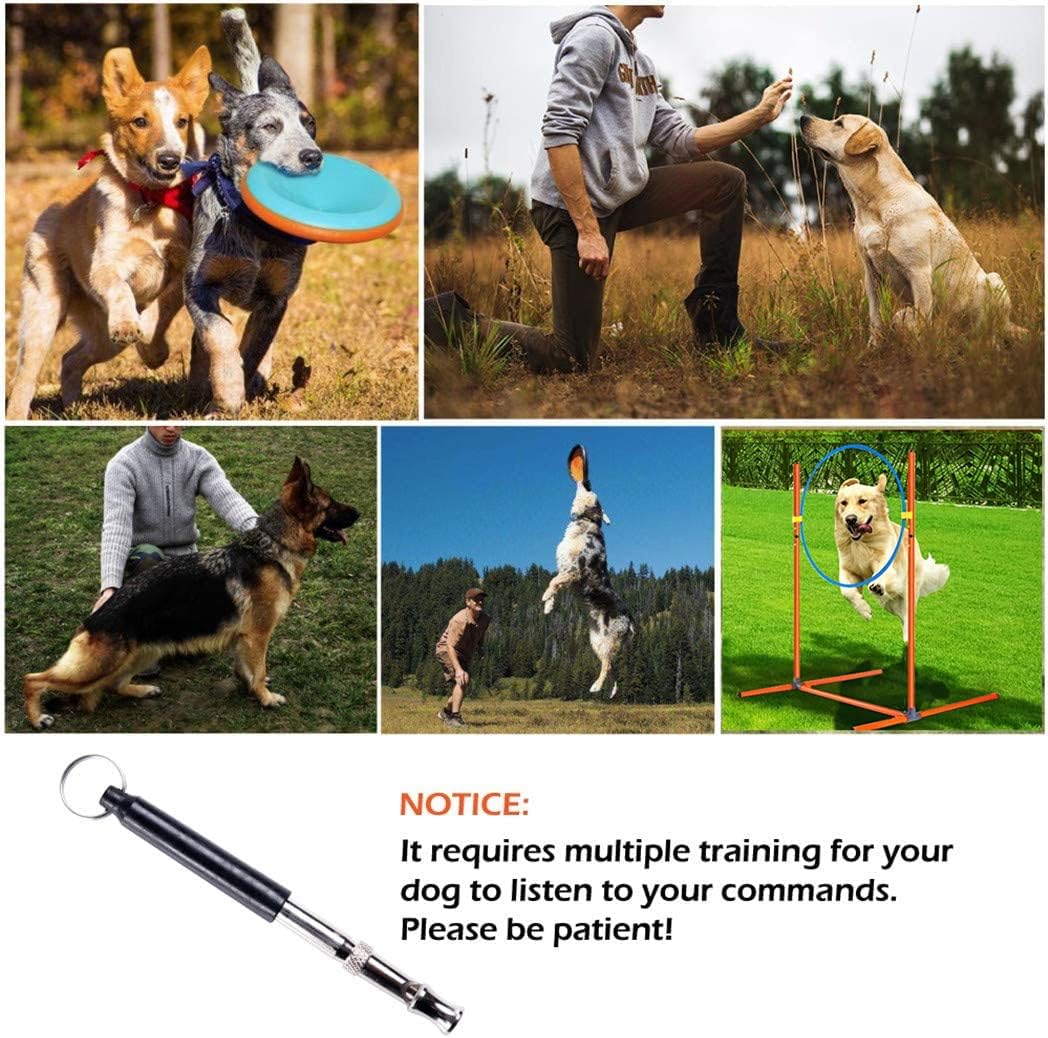 Agility Training Set for Dogs - Affordable Training Kit Dog Jump Training Obstacle Course Starter Kit Pet Outdoor Games with Tunnel, Dog Flying Disc, Weave Poles, Jump Ring, Carrying Bag
