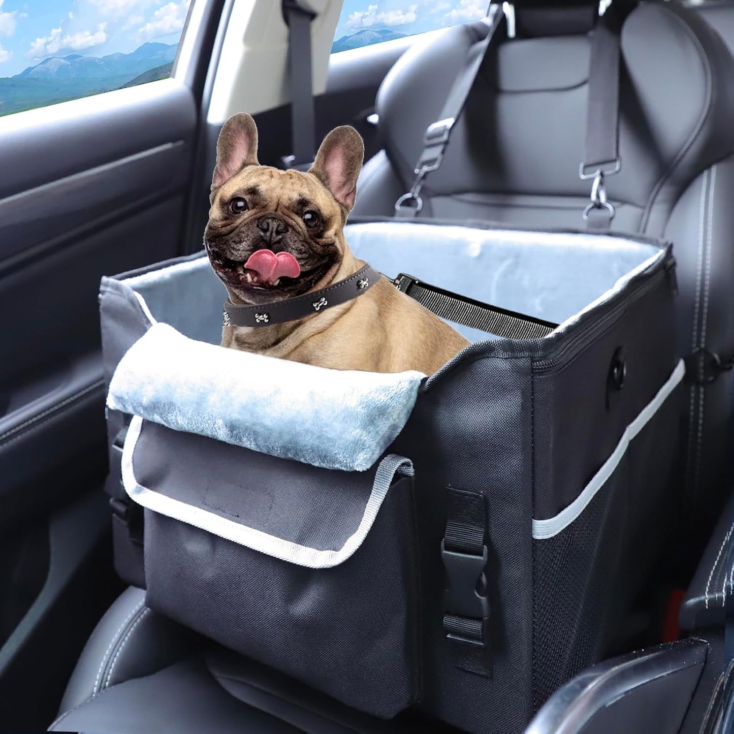 Foldable Dog Car Seat for Small Dogs,Potable Puppy Booster Seat with Harness &Safety Belt, Travel Pet Bed can Removable & Washable Suitable for Dogs 25-30 lbs(Black)