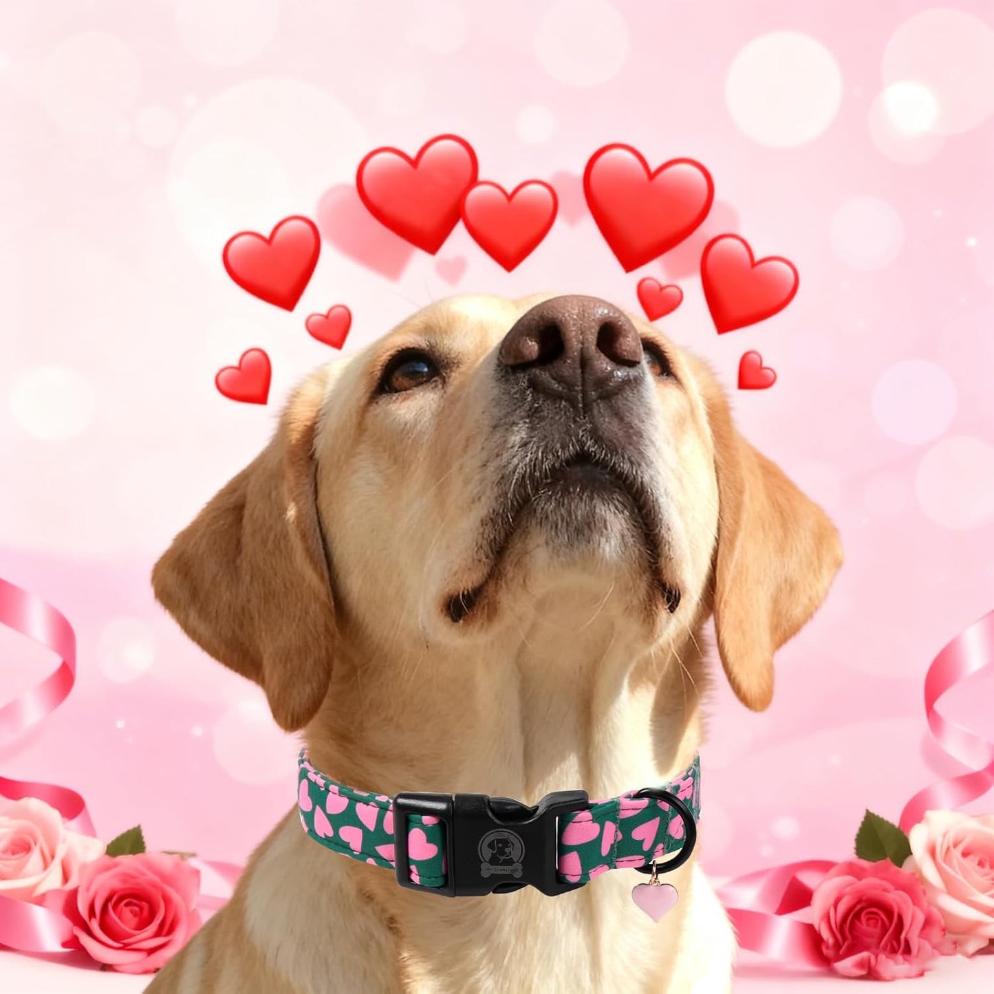 Valentines' Green Dog Collar, Cute Pink Heart Puppy Collar, Adjustable Female or Male Cotton Pet Collar, Quick Release Buckle for Small Medium Large Dog