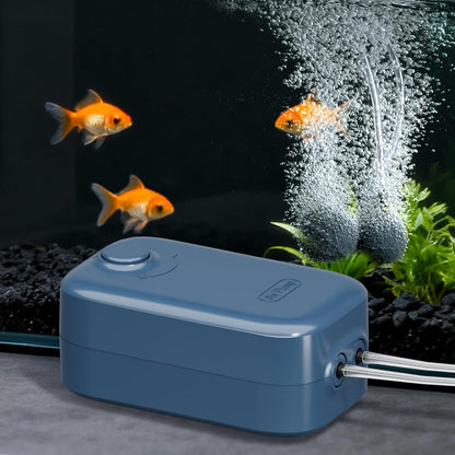 Aquarium Air Pump, Dual Outlet Quiet Oxygen Aerator Pump for Fish Tanks, Adjustable Air Valve Complete Bubbler Kit for Small Aquariums