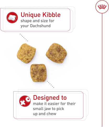 Royal Canin Breed Health Nutrition Dachshund Adult Dry Dog Food, 10 lb Bag