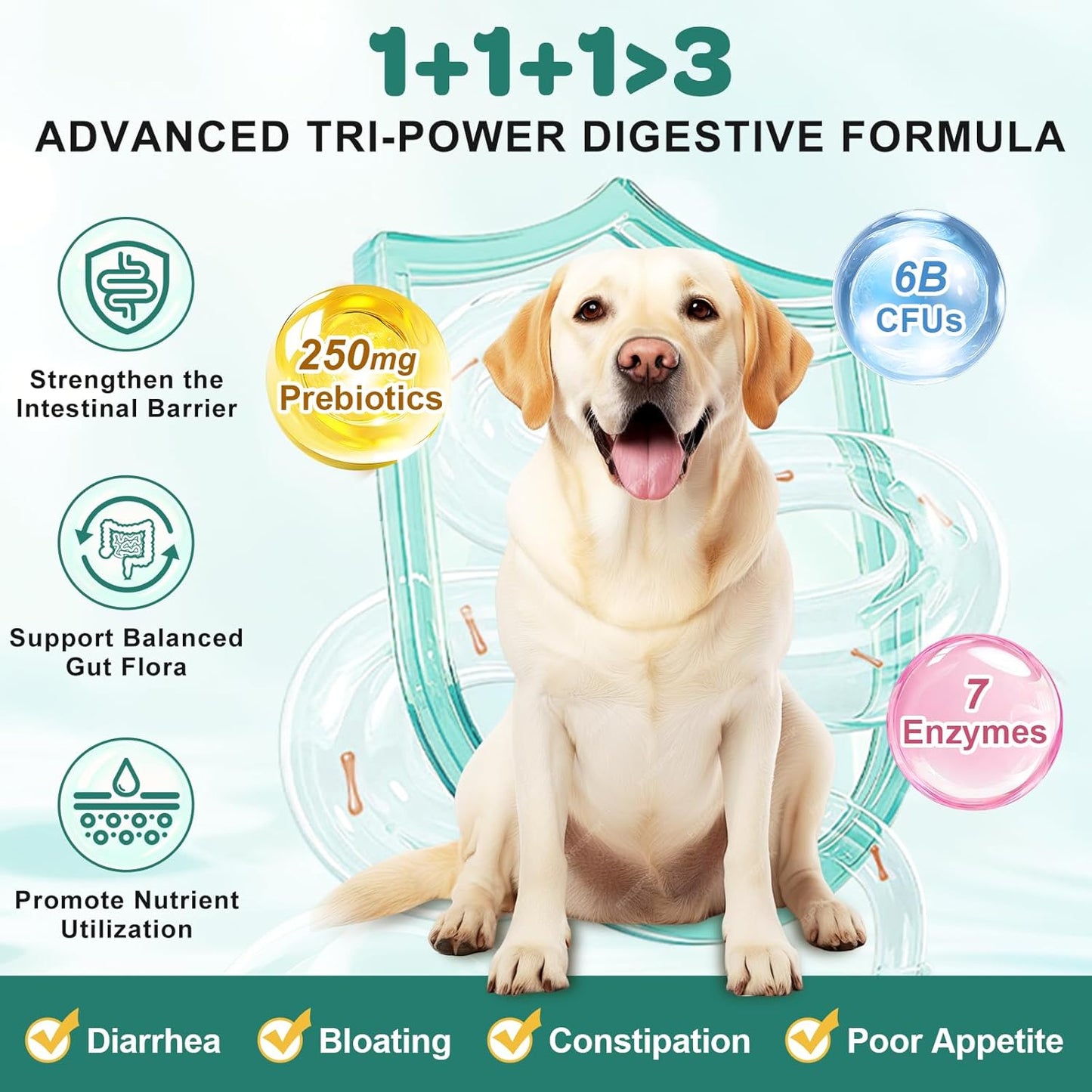 Probiotics for Dogs, Dog Probiotics with Digestive Enzymes, Prebiotics, Omega-3 & 6 and Vitamin for Dogs Digestive Health, 6 Billion CFUs for Gut Health and Immune Support, 180 Freeze-Dried Chews