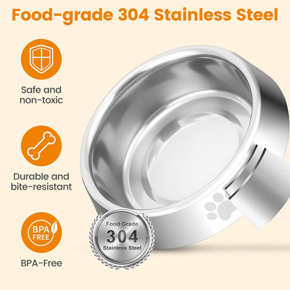 PETTOM Slow Feeder Cat Bowl Elevated, Anti Vomiting for Dry and Wet Food,2Pcs Stainless Steel Cat Food Bowls with Non-Slip Rubber Base