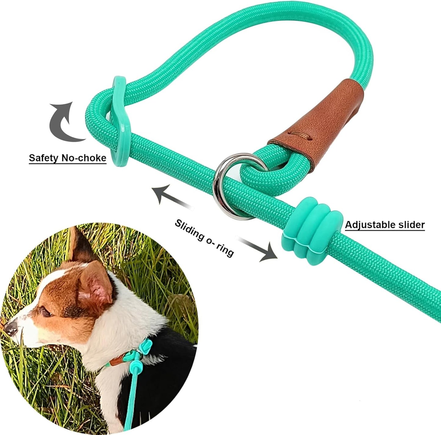 7ft Slip Lead Dog Leash + 6ft Small Slip Lead Dog Training Leash for Small Dogs, Black+Turquoise