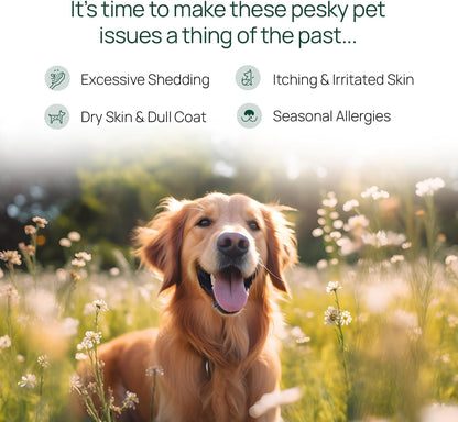 pawTree Salmon Oil-Dog and Cat Fish Oil Supplement-Ideal for excessive shedding control, seasonal allergies, itch relief, dry, irritated skin. With over 15 heart-healthy Omega-3 & Omega-6 Fatty Acids.