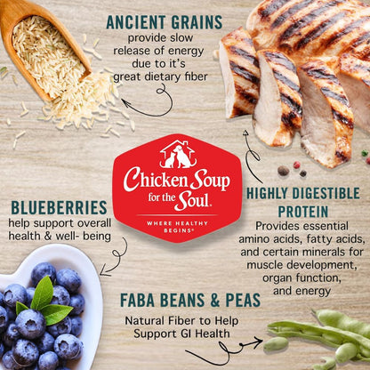 Chicken Soup for the Soul All Natural Premium Small Bites Senior/Mature Dry Dog Food, Real Meat First Ingredient, No By-Products, Supports Joint Health & Mobility, Chicken, Turkey & Brown Rice, 4.5lb