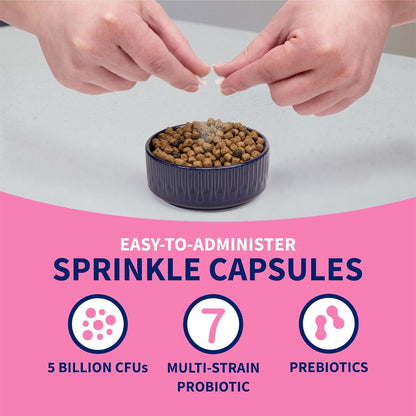 Nutramax Proviable Probiotics for Dogs, Diarrhea Support Kit, Digestive Health Supplement with Multiple Strains of Bacteria, Plus Prebiotics, Kaolin and Pectin, 30 ml Paste and 10 Capsules