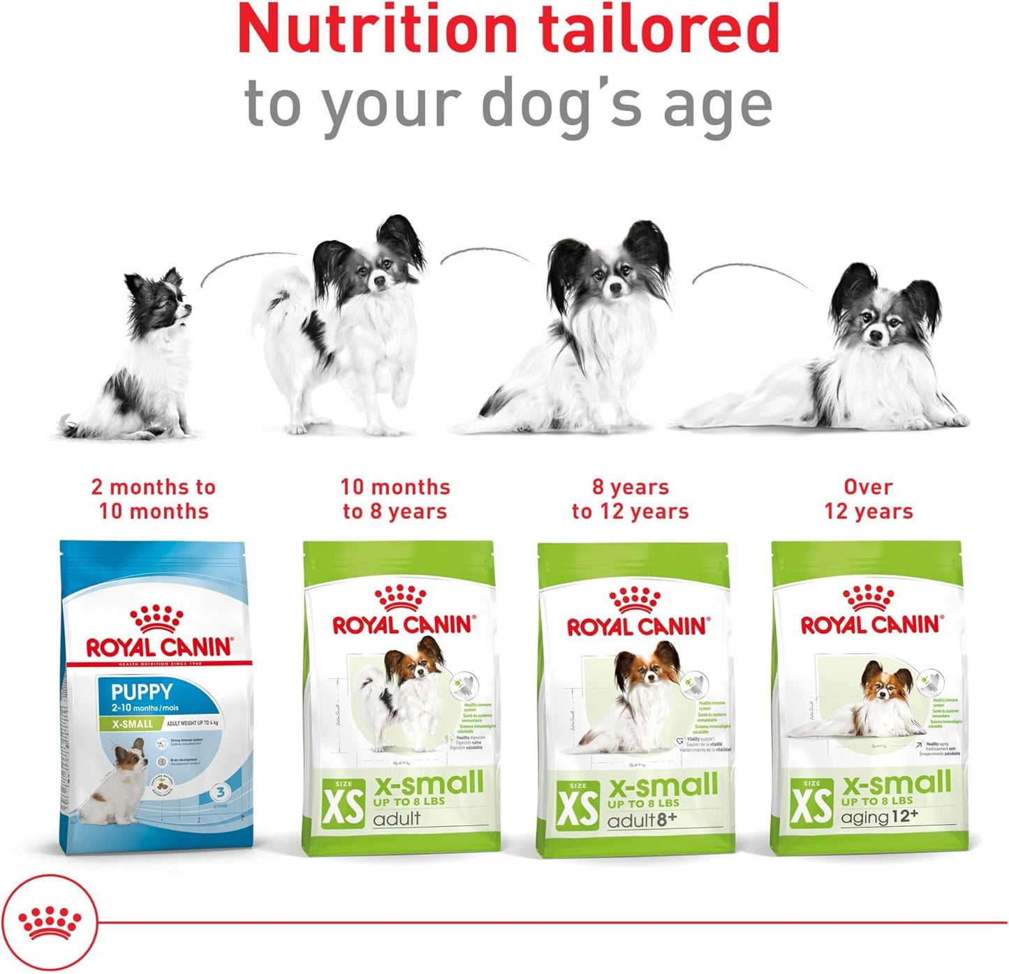 Royal Canin Size Health Nutrition X-Small 7+ Adult Dry Dog Food, 2.5 lb Bag
