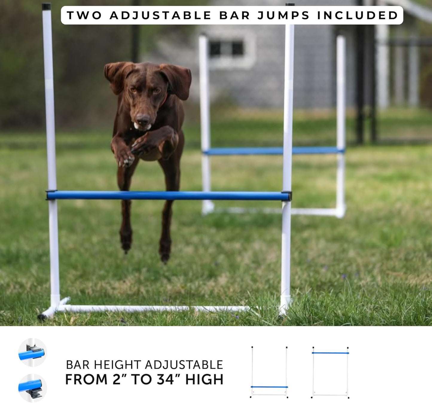 Better Sporting Dogs Agility Course Backyard Set - 7pc Indoor and Outdoor Agility Training Equipment for Dogs - 3 Jumps - 2 Tunnels with Sandbags - Weave Poles for Dog Obstacle Training