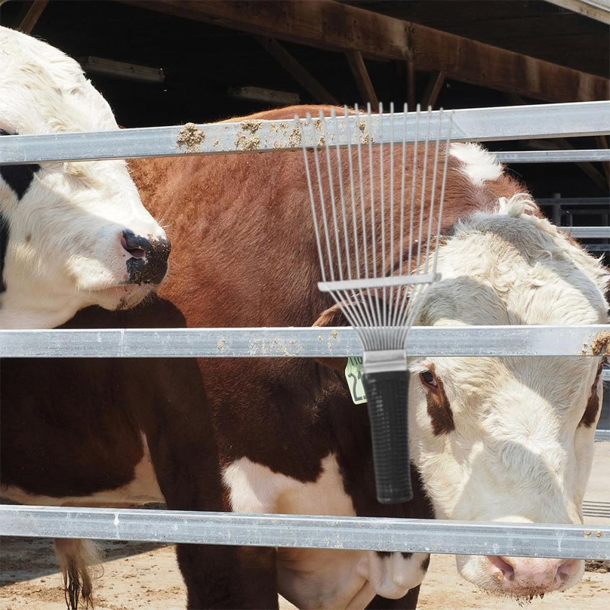 Sheep Wool Rake Brush Deshedding Tool for Farm Animal Grooming 32Cm Compact Black and White Cow and Horse Hair Scratching Comb for Livestock Coat Care