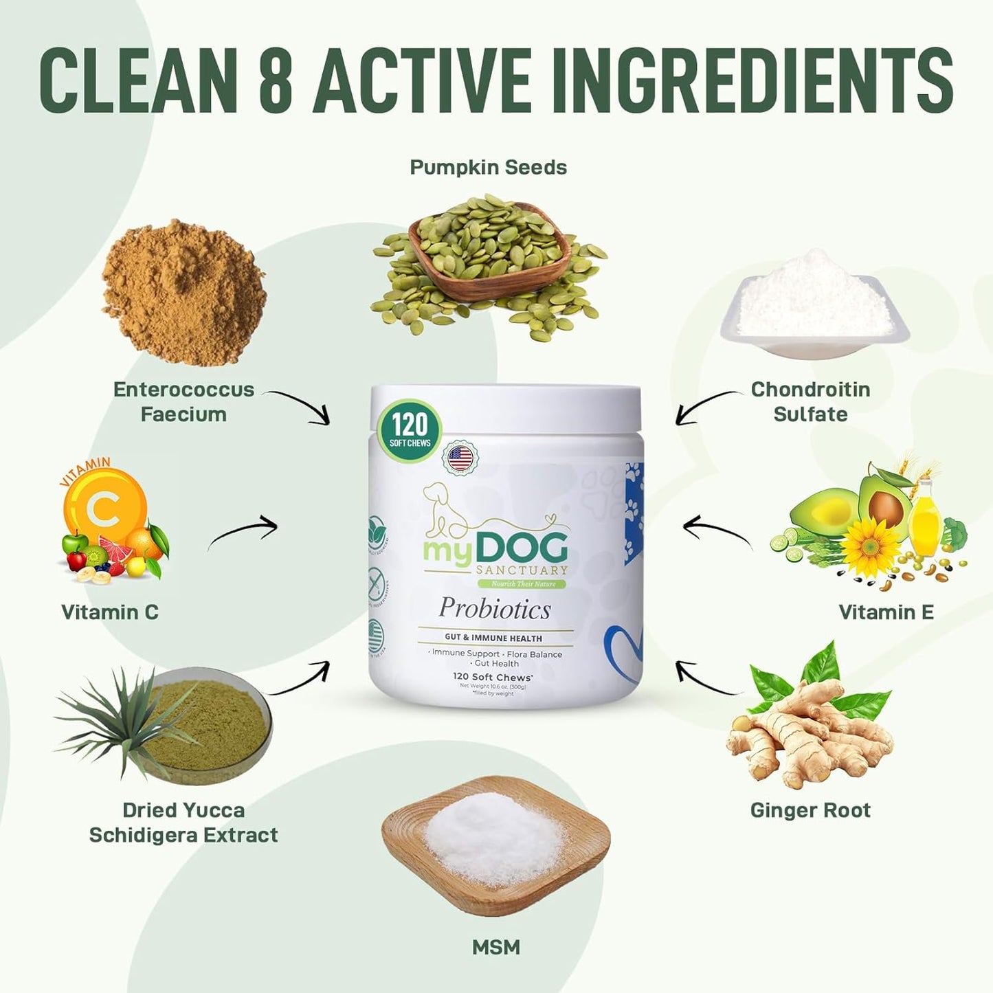 Probiotics for Dogs 120 Chews - Digestive Enzymes & Gut Health Support with Pumpkin Seed, Ginger Root – Dog Probiotics for Diarrhea, Bowel & Immune Support - Bacon Flavor, Soft Chews