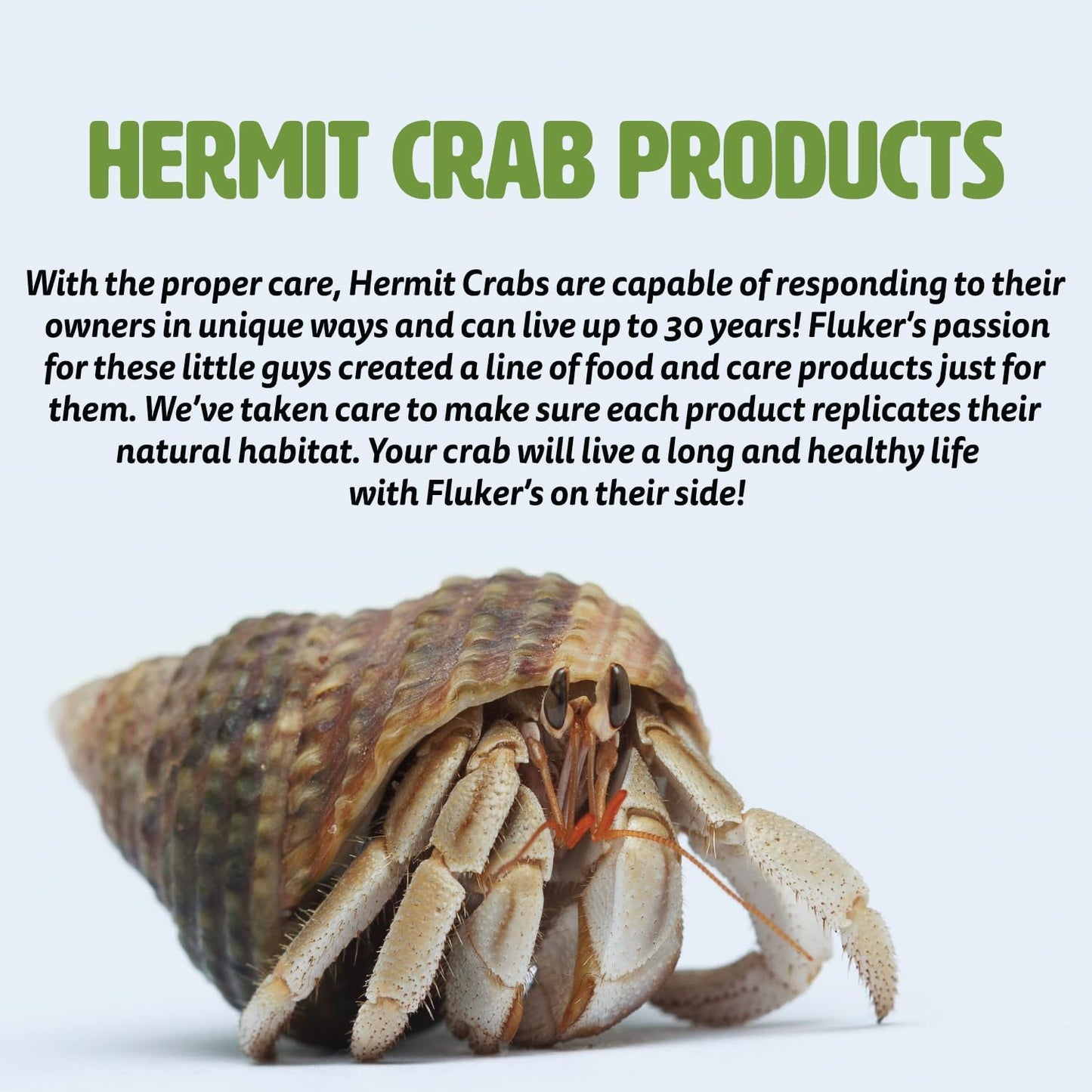 Fluker's All Natural Premium Hermit Crab Sand Substrate, Sand Mixture with Coconut Fiber, For Hermit Crab Tanks, 12 lbs.