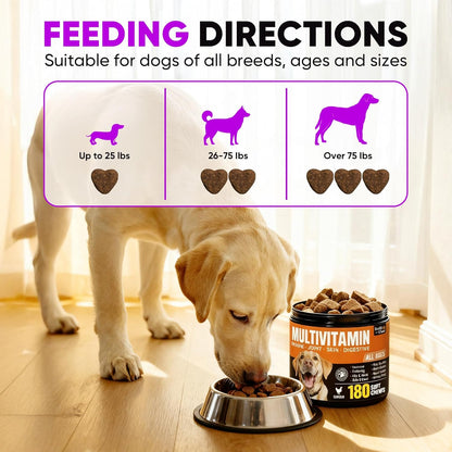 Dog Soft Chews – Joint Care, Skin & Coat, Gut Health, Immune Support