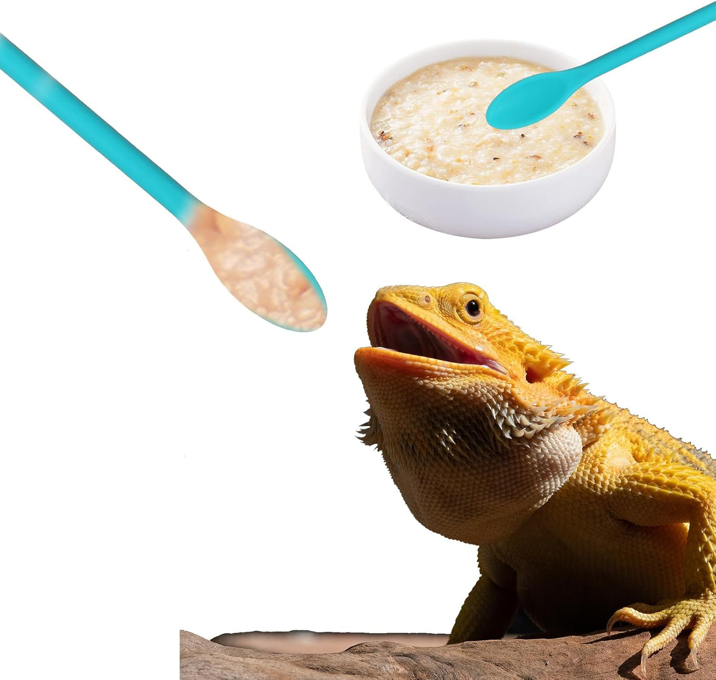 2Pcs Reptile Spoon, Crested Gecko Food Mixing Spoon Long Handle Feeding Tool Crested Gecko Accessories fit Lizard Gargoyle Bearded Dragon
