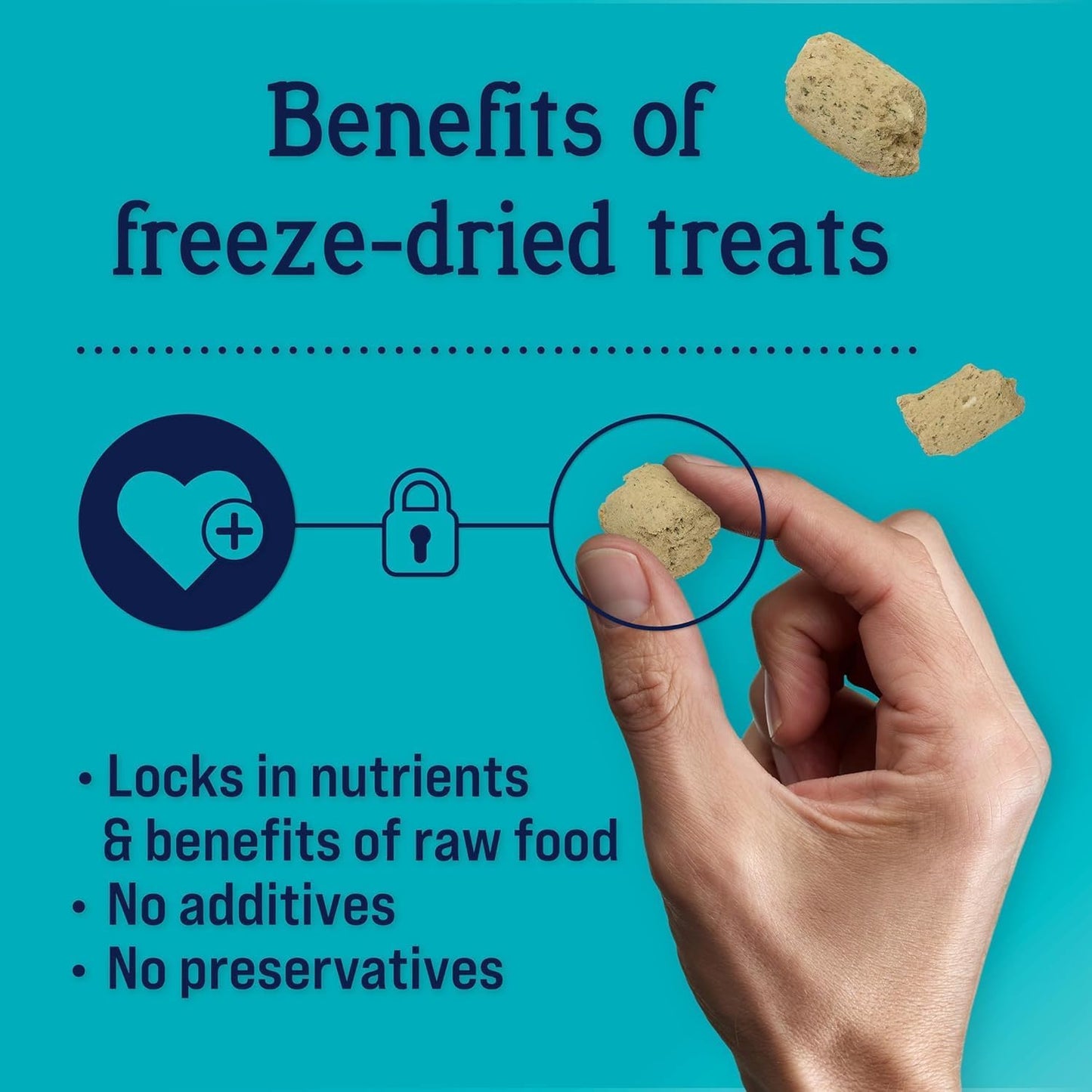 Stewart Freeze Dried Dog Food Topper, PuffTops, Bacon & Cheese, 3.5 Ounce Resealable Pouch, Flavor Enhancing Meal Topper or Dog Treat, Made in USA