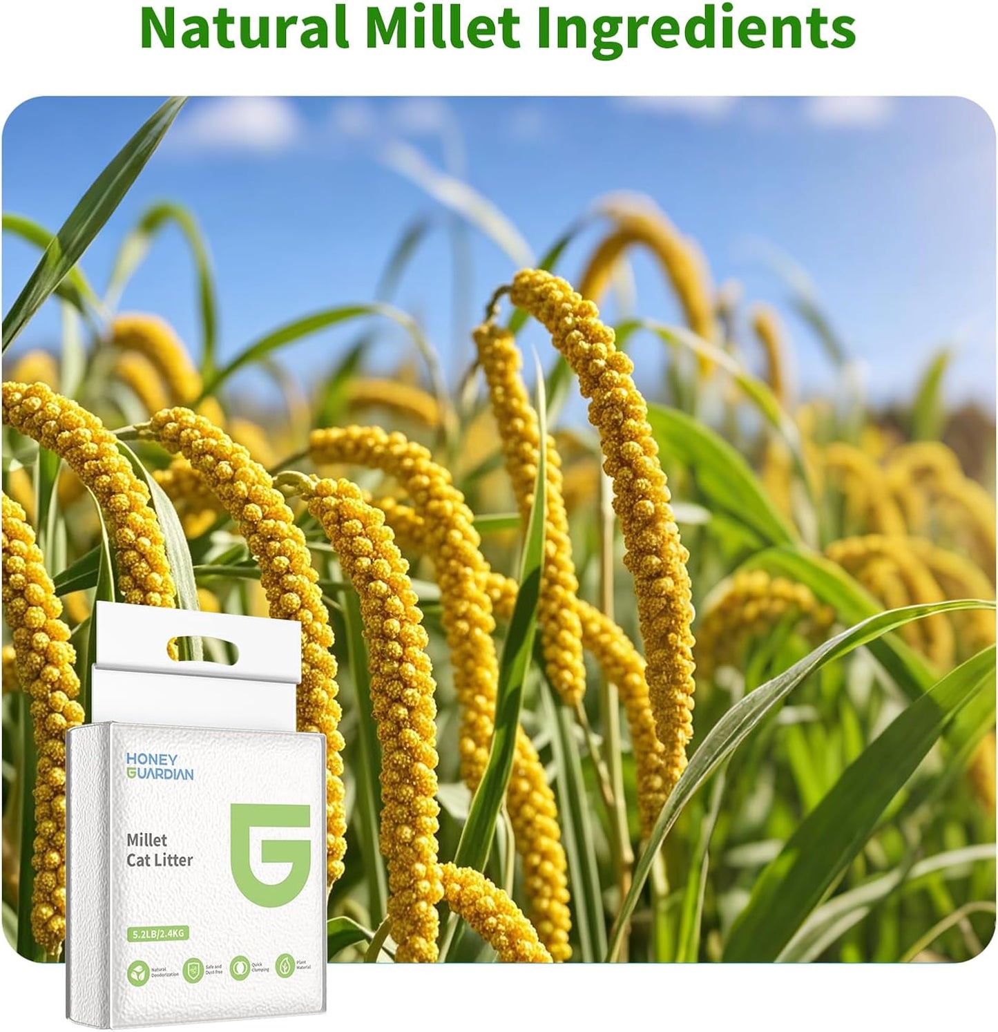 HoneyGuaridan Self Cleaning Cat Litter Box and Millet Cat Litter(5.2lb*4bags)