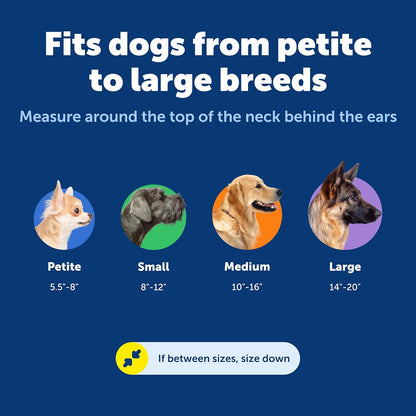 PetSafe Adjustable Martingale Collar - Only Tightens When Dogs Pull, Prevents Slipping Out - Helps with Strong Pullers, Increased Control - Alternative to Choke Collar - 1", Medium, Red