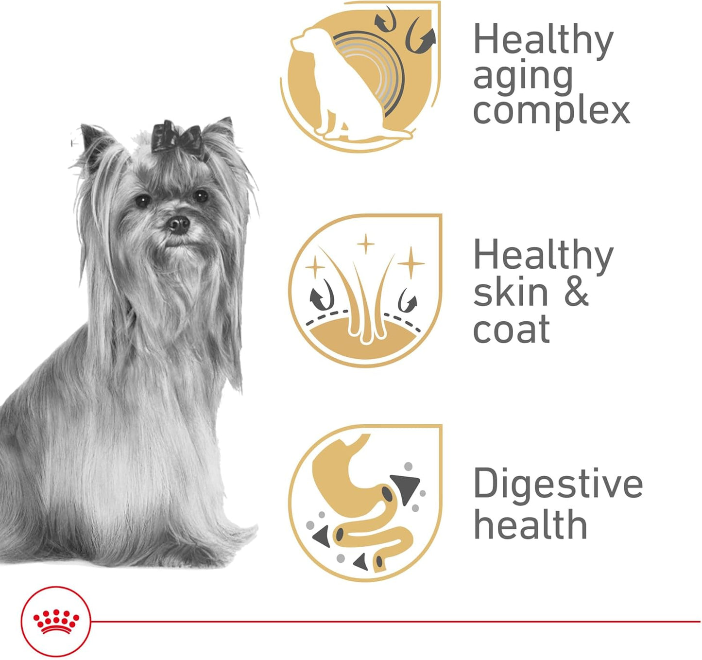 Royal Canin Breed Health Nutrition Yorkshire Terrier 8+ Senior Dry Dog Food, 2.5 lb Bag