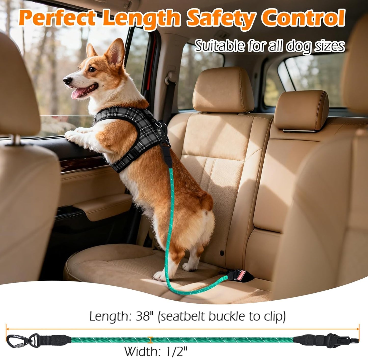 PetBonus Safety Wrist Strap for Retractable Dog Leash and Dog Seat Belt for Car