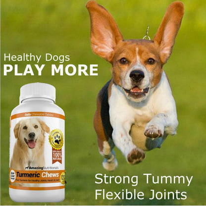 Joint Support Turmeric Probiotics for Dogs Digestive Health Bundle - Eliminates Joint Pain Inflammation, Incontinence, Gas and Diarrhea
