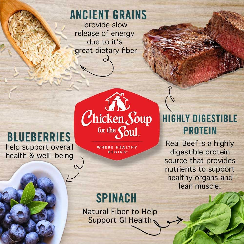 Chicken Soup for The Soul All Natural Premium Large Breed Adult Dry Dog Food, Real Meat First Ingredient, No by-Products, Supports Heart, Gut & Immune Health, Beef & Brown Rice, 28lb