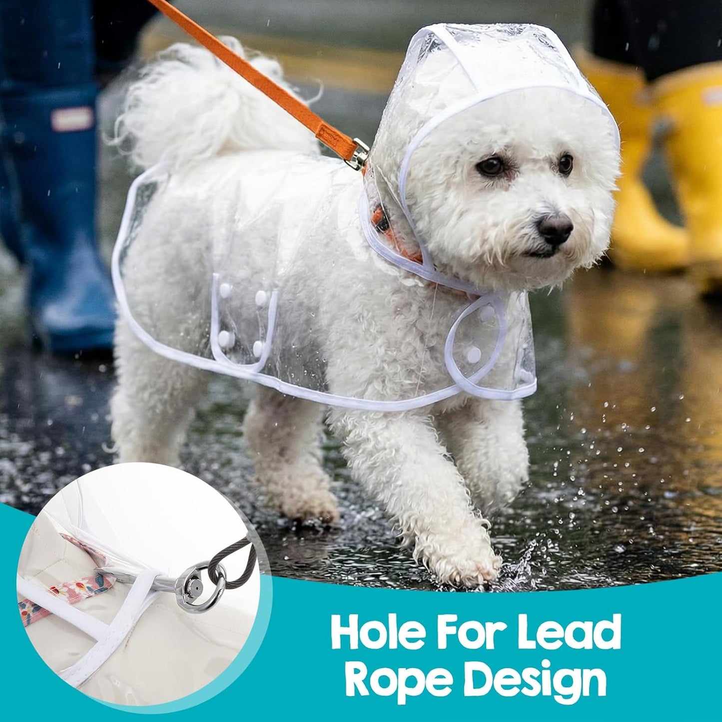 Clear Dog Rain Poncho for Small Medium Dogs, Transparency Pet Raincoat Waterproof Cloak Pet Hooded Raincoat Jacket for Bichon Poodle (Transparent, Medium)