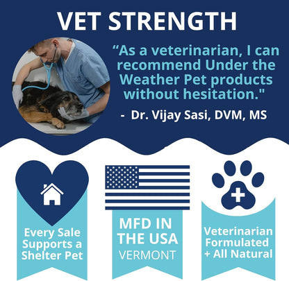 Under the Weather Probiotic Chews for Dogs | Daily Probiotics and Prebiotics for Digestive Health Gut | Balance and Immune Support | Vet Formulated Dog Digestive Supplement | Chicken Flavor | 60 Count