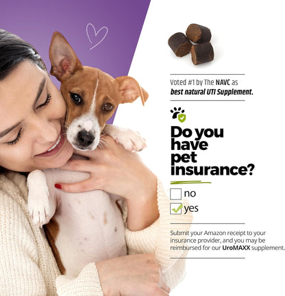 Dog Urinary Tract Infection Treatment, Bladder & Kidney Support for Dogs, Powerful Pet Care, Natural Soft Chews with Cranberry & Glucosamine, Made in The USA, Chicken Flavor, 90 Count, 2 Pack