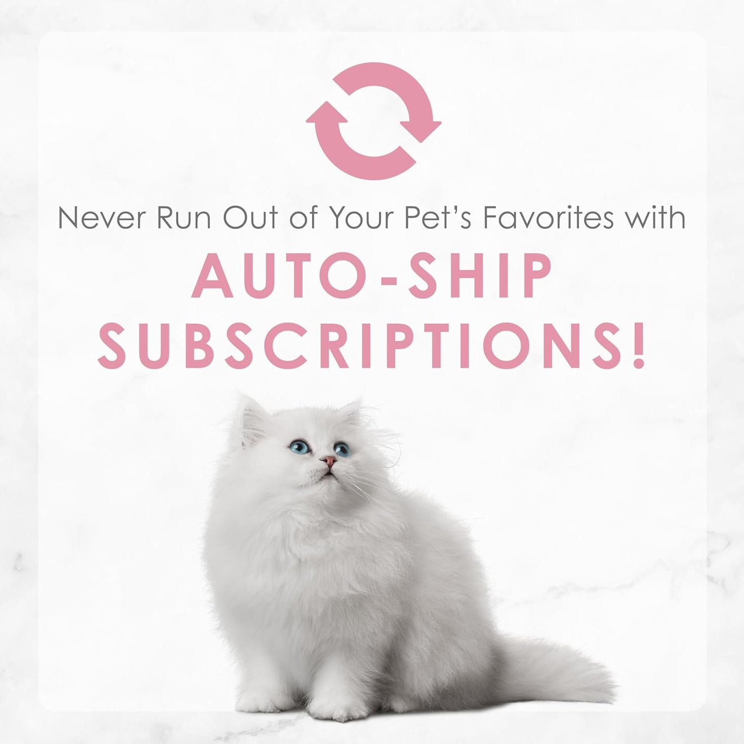 Purina Fancy Feast Tender Ocean Whitefish, Turkey, Chicken and Salmon Feasts Wet Kitten Food Variety Pack - (Pack of 24) 3 oz. Boxes